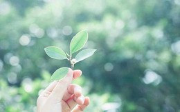 Phụ nữ cô đơn quá lâu thường có 3 đặc điểm này