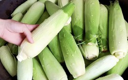 Bí quyết '4 từ' của đầu bếp khi luộc ngô giúp ăn ngọt và dẻo gấp trăm lần cách bạn vẫn hay làm!