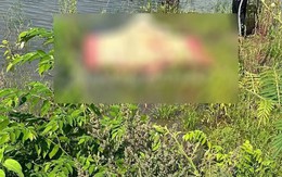 Cứu 2 cháu bé bị đuối nước, người đàn ông tử vong thương tâm ở Phú Thọ