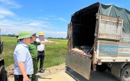 Vận chuyển hơn 1 tấn sản phẩm động vật bốc mùi hôi thối