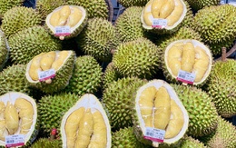 Loạn giá sầu riêng, nơi bán vài chục nghìn nơi hàng trăm nghìn đồng/kg