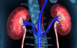 Dấu hiệu cảnh báo tổn thương thận cấp không nên bỏ qua