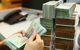 Hàng triệu người Việt đón tin vui "chấn động" từ Chính phủ: Một lĩnh vực gây tranh cãi nhiều năm sắp được đưa vào khuôn khổ pháp lý