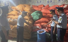 Phát hiện gần 8 tấn chân gà 'bẩn' đang chờ tiêu thụ tại Quảng Ninh