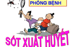 Dịch sốt xuất huyết có nguy cơ bùng phát, diễn biến phức tạp nếu người dân không chủ động phòng chống