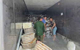 Khám kho hàng đông lạnh, phát hiện hơn 25 tấn thực phẩm bẩn chuẩn bị được tiêu thụ