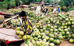 Loại quả Việt Nam có 2 triệu tấn, khách Mỹ và Trung Quốc tranh mua để giải nhiệt