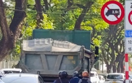 Phạt tiền, trừ điểm bằng lái tài xế xe ben chục tấn chạy vào đường cấm ở Đà Nẵng