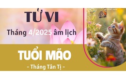 Tháng 4 âm lịch Ất Tỵ 2025, con giáp tuổi Mão rực rỡ về tài lộc, nhưng lại cần chú ý một điều đặc biệt này