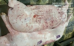 Xuất hiện thông tin Công ty CP Chăn nuôi CP Việt Nam chế biến lợn bệnh: Cục Chăn nuôi và Thú y yêu cầu khẩn trương vào cuộc kiểm tra