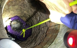 Rơi xuống giếng sâu, cụ bà 84 tuổi ở Bắc Giang được giải cứu thành công