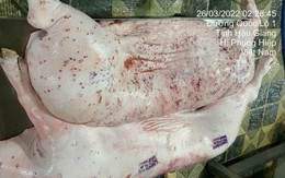 Vụ xuất hiện thông tin Công ty Chăn nuôi C.P. Việt Nam dùng lợn bệnh, gà bệnh 'tuồn' ra thị trường: Người tố cáo nói gì?