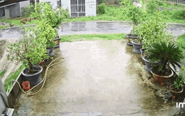 2 người đi xe máy tử vong vì va trúng dây điện chắn ngang đường ở Trà Vinh