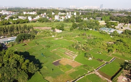 Những quy định cần biết về thực hiện thừa kế đất đai 2025