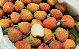 Vải u hồng đầu mùa giá đắt hơn sầu riêng, tiểu thương nhập hàng không đủ để bán