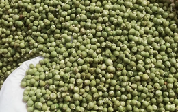 Giá xuất khẩu một loại hạt của Việt Nam tăng 1.300%, chợ bán 1,6 triệu đồng/kg