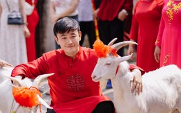 Chú rể dắt 2 con dê đi đón vợ, phía sau là chuyện hài hước