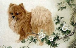 Con giáp được Thần Tài ưu ái bậc nhất