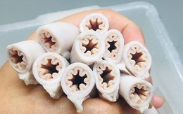 Ăn phải lòng xe điếu bị 'phù phép', coi chừng ngộ độc, tổn thương tiêu hóa thậm chí ung thư