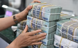 5 cung hoàng đạo phú quý đến muộn, hậu vận tiền bạc mới đổ về như thác