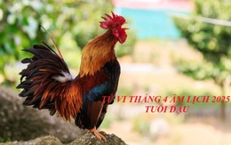 Con giáp tuổi Dậu đón nhiều tin vui, lộc đổ về sầm sập trong tháng 5
