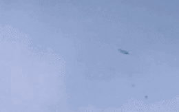 Cảnh tượng sốc: Cá bay đầy trời ở vùng biển Caribe, rốt cuộc chuyện gì đang xảy ra?