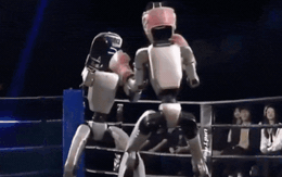 Robot hình người tỉ thí võ đài: Các kỹ thuật phức tạp như đấm móc, đá xoay và tự bật dậy được thực hiện