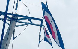 3 học sinh ở Nghệ An bị điện giật khi cố lấy diều mắc vào cột điện 110kV