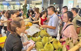 Lần đầu tiên có chuyến bay chở Sầu riêng Cần Thơ ra Hải Phòng tiêu thụ