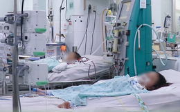 Bé 13 tuổi men gan tăng gấp 100 lần do mắc sai lầm này khi bị sốt xuất huyết