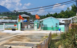 Ô nhiễm tái diễn ngay sau khi trang trại lợn được phép hoạt động lại