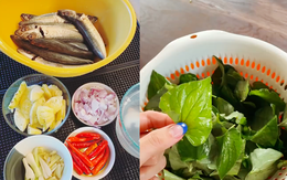 Loại rau dân dã ăn cùng cá kho giúp tiêu mỡ máu, hỗ trợ thải độc cực mạnh