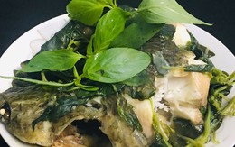 Cây rau thơm trong tô bún lại là 'khắc tinh' của cao huyết áp và cholesterol xấu