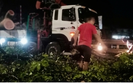 Cây đổ, mái tôn bay trong giông lốc chiều tối 15/6 ở Hà Nội