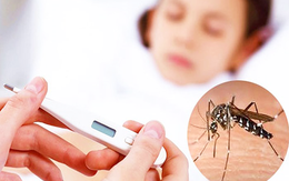 5 lưu ý khi chăm sóc người bệnh sốt xuất huyết tại nhà an toàn và hiệu quả