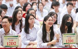 Học ngành Kế toán có lo bị AI thay thế trong tương lai?