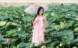 Hà Nội tháng 6: Sen nở khắp Hồ Tây, thiếu nữ xuống phố "hóa nàng thơ" giữa đời thực
