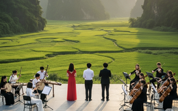 'Những lá cờ trên bầu trời Tổ quốc' mở màn dự án văn hóa phi lợi nhuận 'Hành trình Việt Nam'