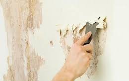 Cách khắc phục sơn tường bị ố vàng nhanh chóng và hiệu quả nhất tại nhà