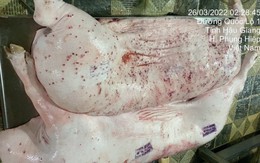Vụ Công ty C.P. Việt Nam bị 'tố' dùng lợn bệnh: Sắp kỷ luật đối với viên chức đóng dấu lưu thông lên lợn bệnh?