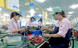 Tin vui đến với hàng nghìn lao động nữ, hưởng 6 quyền lợi đặc biệt về chế độ thai sản từ ngày 1/7/2025