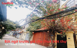 Bất ngờ trước giá cho thuê biệt thự tại Thanh Xuân, Hà Nội