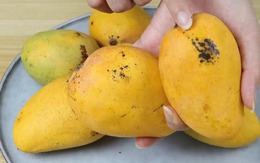 Mua xoài cứ dùng 5 mẹo này: Bách phát bách trúng, quả nào cũng ngọt như mía lùi