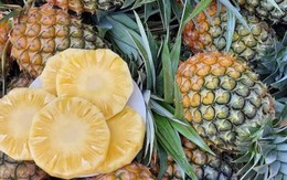 Xuất hiện loại dứa lạ trên thị trường, thơm ngon như mật được chị em đua nhau săn đón