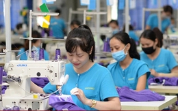 Đóng bảo hiểm xã hội tự nguyện trước 2021 sẽ được nghỉ hưu sớm 2-5 năm