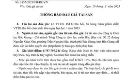 Cần minh bạch trong đấu giá tài sản vật tư thiết bị có chứa chất thải nguy hại của các Công ty điện lực