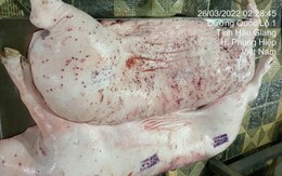 Vụ Công ty C.P. Việt Nam bị 'tố' sử dụng lợn bệnh: Hà Nội tăng cường kiểm soát 2 cơ sở giết mổ của C.P. tại KCN Phú Nghĩa