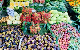 Loại quả giàu chất xơ là đặc sản Tây Bắc vào mùa bán đầy chợ giá hơn chục nghìn đồng/kg