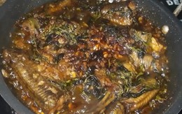 Cách làm món chạch kho rau răm đậm đà, thơm nức mũi khiến vạn người mê