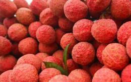 Mách bạn cách chọn vải thiều ngon